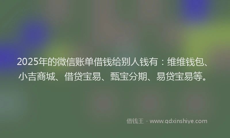 2025年的微信账单借钱给别人钱有：维维钱包、小吉商城、借贷宝易、甄宝分期、易贷宝易等。