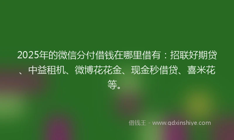 2025年的微信分付借钱在哪里借有：招联好期贷、中益租机、微博花花金、现金秒借贷、喜米花等。