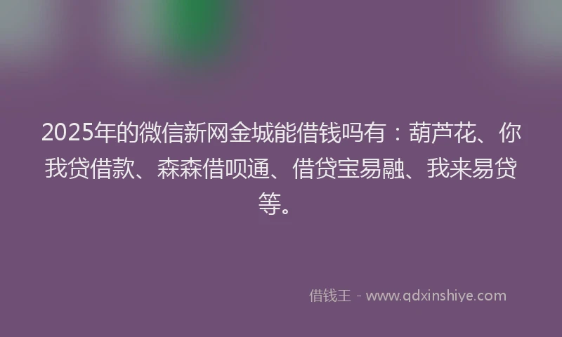 2025年的微信新网金城能借钱吗有：葫芦花、你我贷借款、森森借呗通、借贷宝易融、我来易贷等。