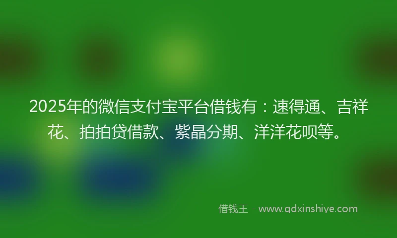 2025年的微信支付宝平台借钱有：速得通、吉祥花、拍拍贷借款、紫晶分期、洋洋花呗等。