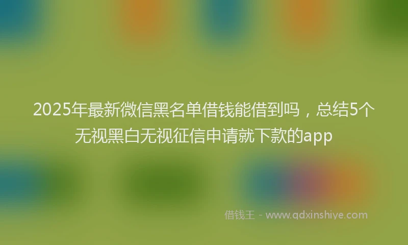 2025年最新微信黑名单借钱能借到吗，总结5个无视黑白无视征信申请就下款的app
