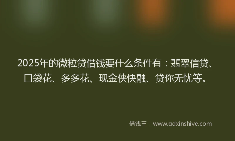2025年的微粒贷借钱要什么条件有：翡翠信贷、口袋花、多多花、现金侠快融、贷你无忧等。