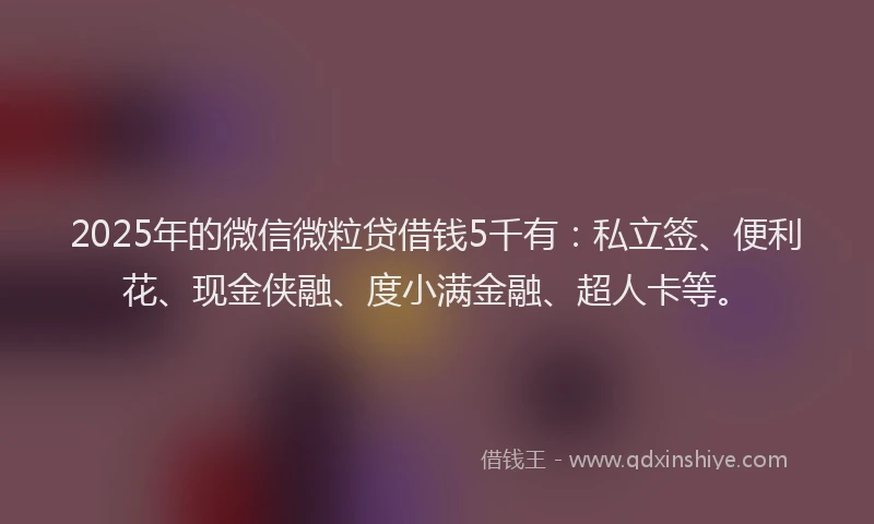 2025年的微信微粒贷借钱5千有：私立签、便利花、现金侠融、度小满金融、超人卡等。
