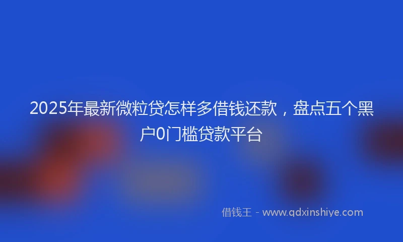 2025年最新微粒贷怎样多借钱还款，盘点五个黑户0门槛贷款平台