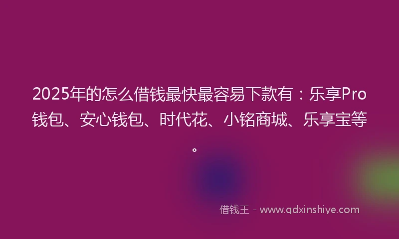 2025年的怎么借钱最快最容易下款有：乐享Pro钱包、安心钱包、时代花、小铭商城、乐享宝等。