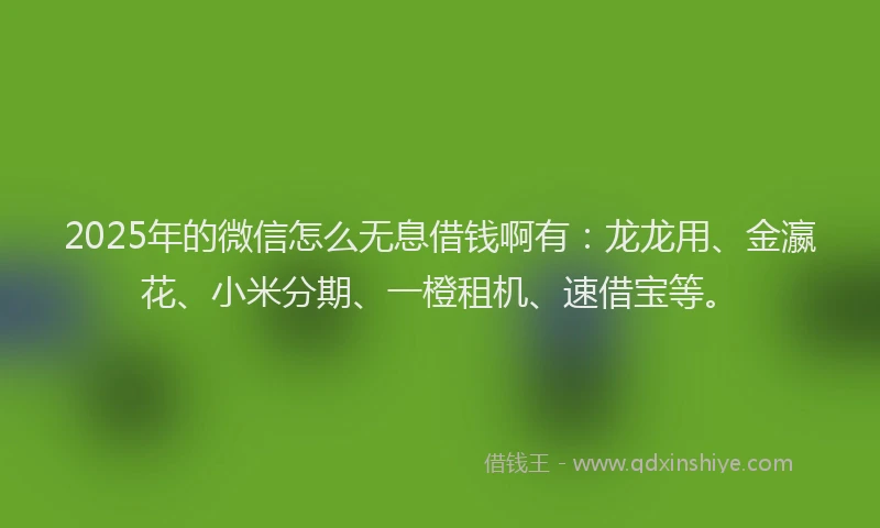 2025年的微信怎么无息借钱啊有：龙龙用、金瀛花、小米分期、一橙租机、速借宝等。