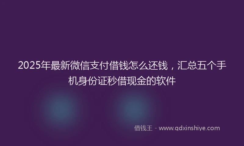 2025年最新微信支付借钱怎么还钱，汇总五个手机身份证秒借现金的软件