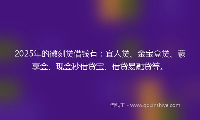 2025年的微刻贷借钱有：宜人贷、金宝盒贷、蒙享金、现金秒借贷宝、借贷易融贷等。