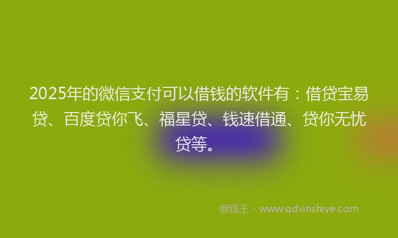 2025年的微信支付可以借钱的软件有：借贷宝易贷、百度贷你飞、福星贷、钱速借通、贷你无忧贷等。