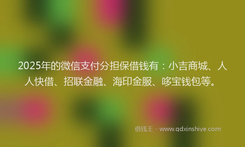 2025年的微信支付分担保借钱有：小吉商城、人人快借、招联金融、海印金服、哆宝钱包等。