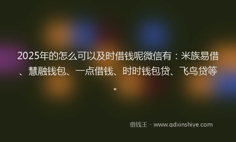 2025年的怎么可以及时借钱呢微信有：米族易借、慧融钱包、一点借钱、时时钱包贷、飞鸟贷等。