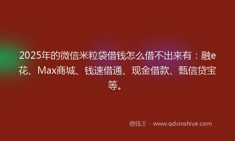 2025年的微信米粒袋借钱怎么借不出来有：融e花、Max商城、钱速借通、现金借款、甄信贷宝等。