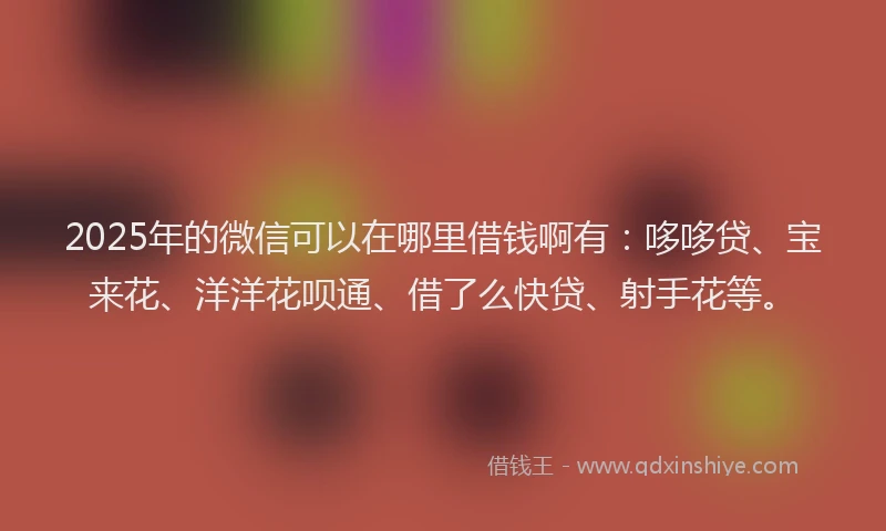 2025年的微信可以在哪里借钱啊有：哆哆贷、宝来花、洋洋花呗通、借了么快贷、射手花等。
