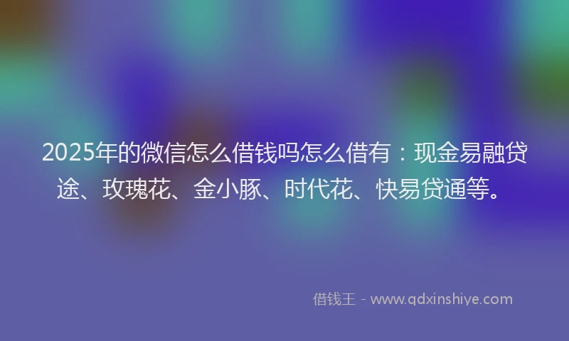 2025年的微信怎么借钱吗怎么借有：现金易融贷途、玫瑰花、金小豚、时代花、快易贷通等。