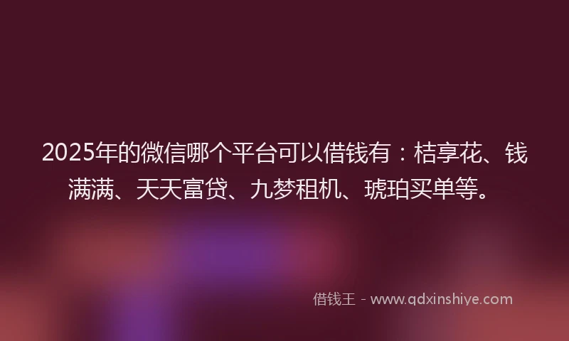 2025年的微信哪个平台可以借钱有：桔享花、钱满满、天天富贷、九梦租机、琥珀买单等。