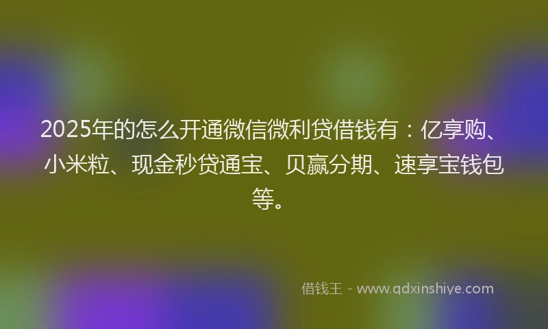 2025年的怎么开通微信微利贷借钱有：亿享购、小米粒、现金秒贷通宝、贝赢分期、速享宝钱包等。