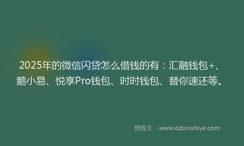 2025年的微信闪贷怎么借钱的有：汇融钱包+、鹅小易、悦享Pro钱包、时时钱包、替你速还等。