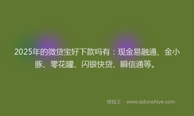 2025年的微贷宝好下款吗有：现金易融通、金小豚、零花罐、闪银快贷、瞬信通等。