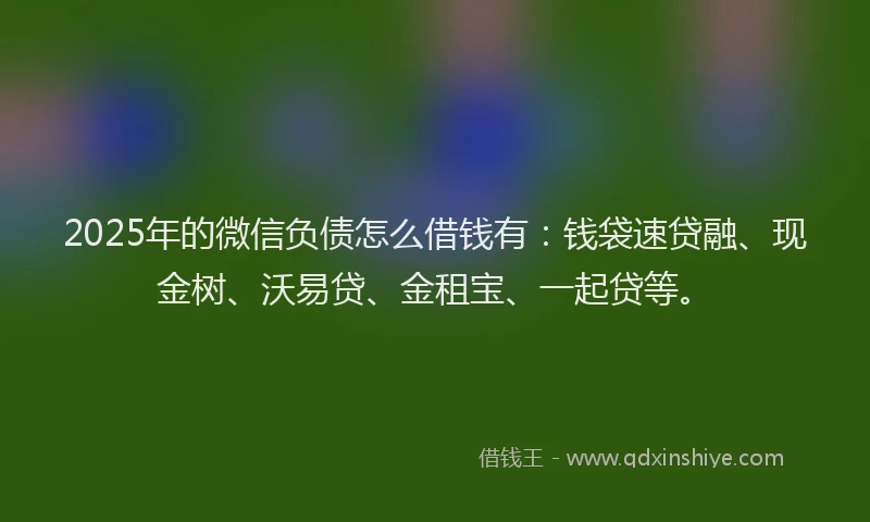2025年的微信负债怎么借钱有：钱袋速贷融、现金树、沃易贷、金租宝、一起贷等。