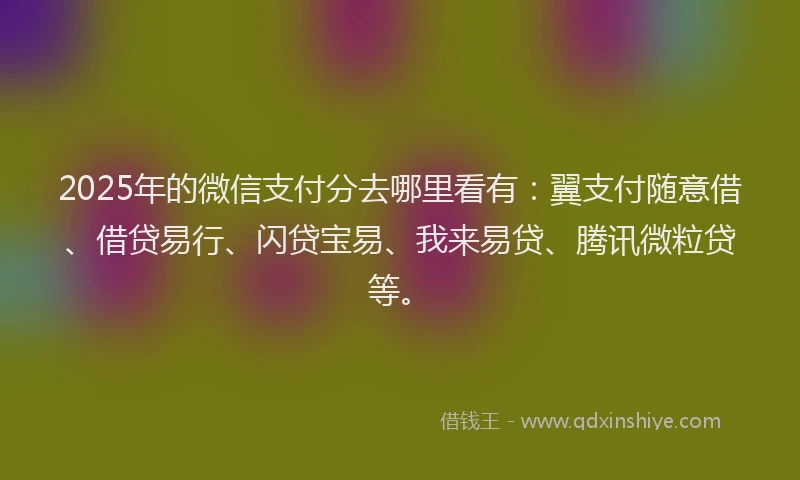 2025年的微信支付分去哪里看有：翼支付随意借、借贷易行、闪贷宝易、我来易贷、腾讯微粒贷等。