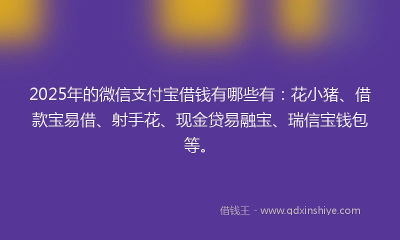 2025年的微信支付宝借钱有哪些有：花小猪、借款宝易借、射手花、现金贷易融宝、瑞信宝钱包等。