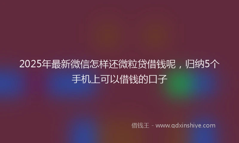 2025年最新微信怎样还微粒贷借钱呢，归纳5个手机上可以借钱的口子