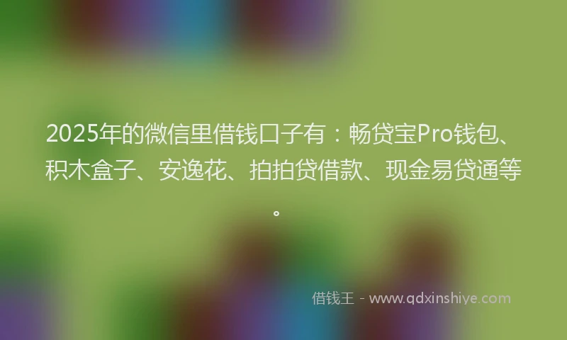 2025年的微信里借钱口子有：畅贷宝Pro钱包、积木盒子、安逸花、拍拍贷借款、现金易贷通等。