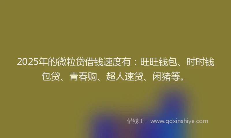 2025年的微粒贷借钱速度有：旺旺钱包、时时钱包贷、青春购、超人速贷、闲猪等。
