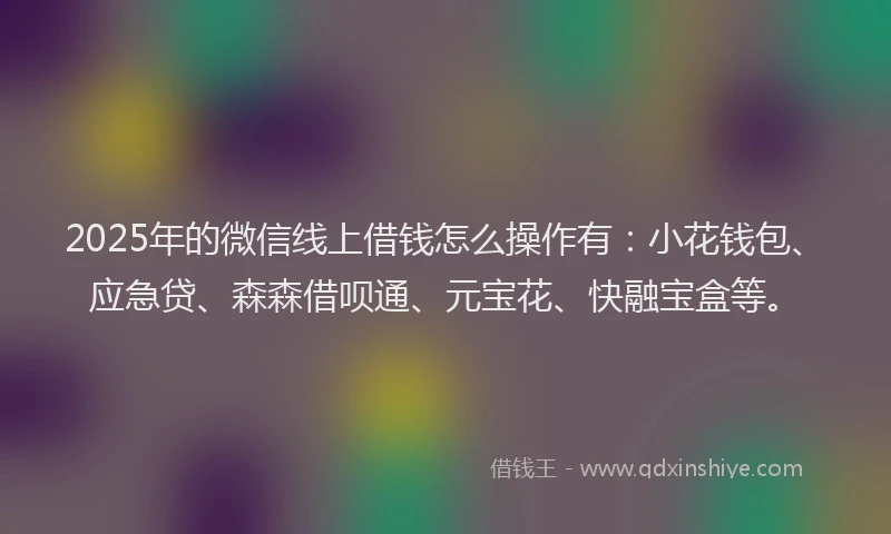 2025年的微信线上借钱怎么操作有：小花钱包、应急贷、森森借呗通、元宝花、快融宝盒等。