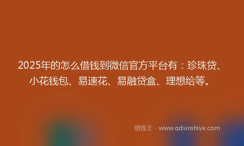 2025年的怎么借钱到微信官方平台有：珍珠贷、小花钱包、易速花、易融贷盒、理想给等。