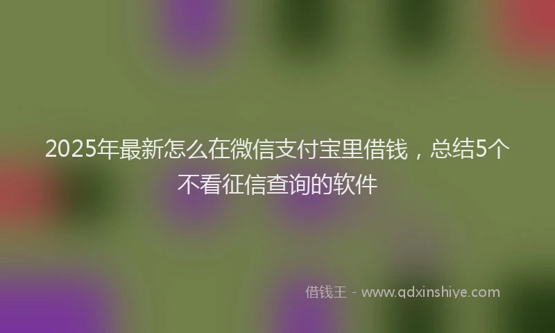 2025年最新怎么在微信支付宝里借钱，总结5个不看征信查询的软件