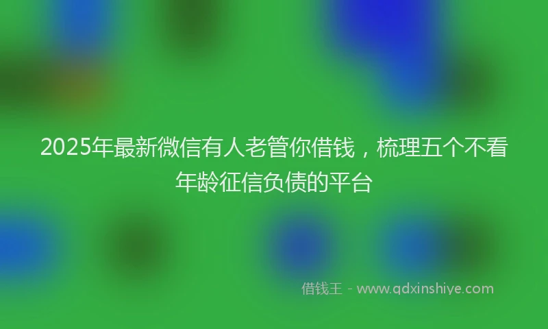 2025年最新微信有人老管你借钱，梳理五个不看年龄征信负债的平台