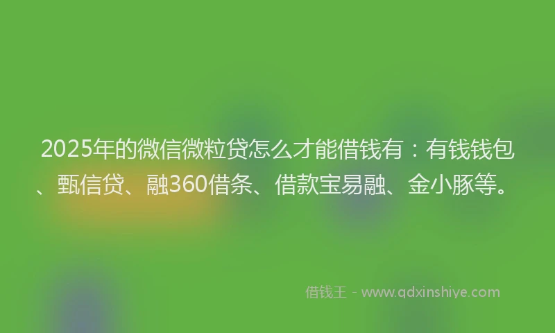 2025年的微信微粒贷怎么才能借钱有：有钱钱包、甄信贷、融360借条、借款宝易融、金小豚等。