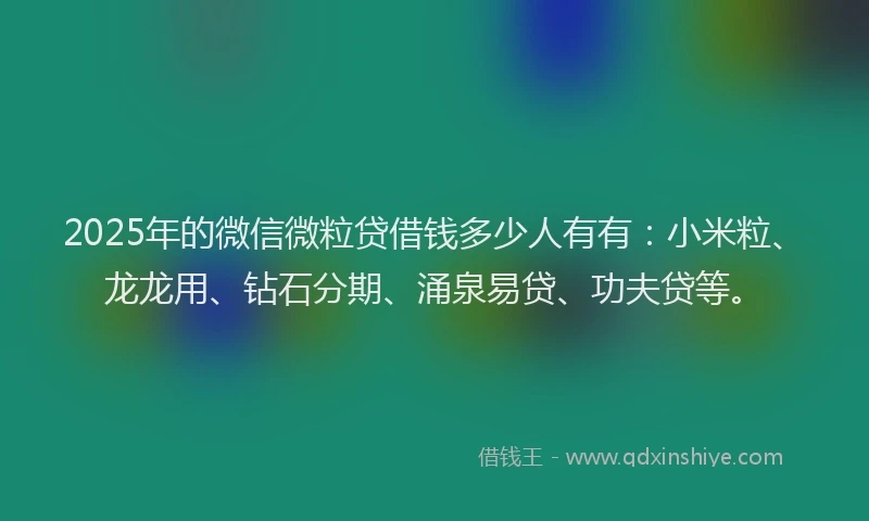 2025年的微信微粒贷借钱多少人有有：小米粒、龙龙用、钻石分期、涌泉易贷、功夫贷等。