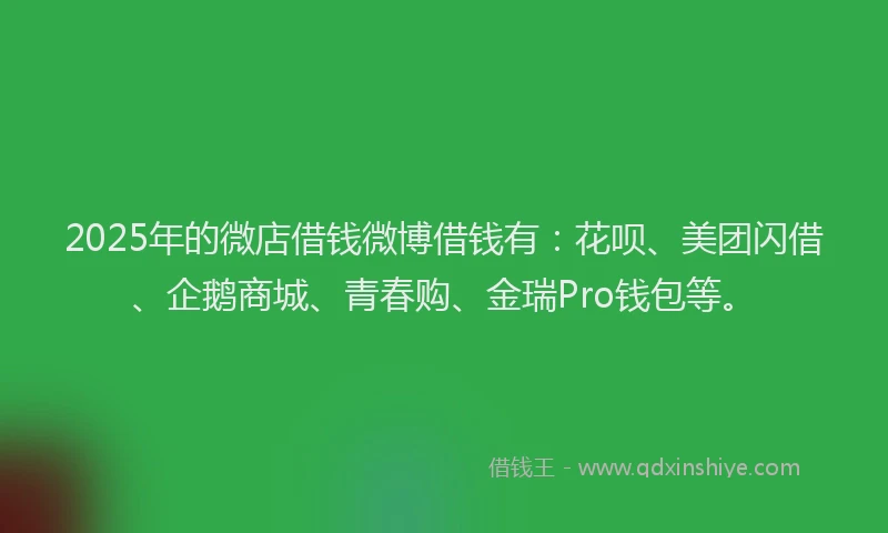 2025年的微店借钱微博借钱有：花呗、美团闪借、企鹅商城、青春购、金瑞Pro钱包等。