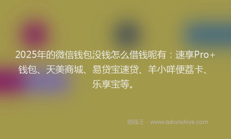 2025年的微信钱包没钱怎么借钱呢有：速享Pro+钱包、天美商城、易贷宝速贷、羊小咩便荔卡、乐享宝等。