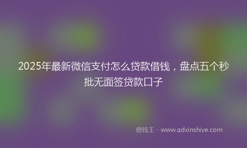 2025年最新微信支付怎么贷款借钱，盘点五个秒批无面签贷款口子