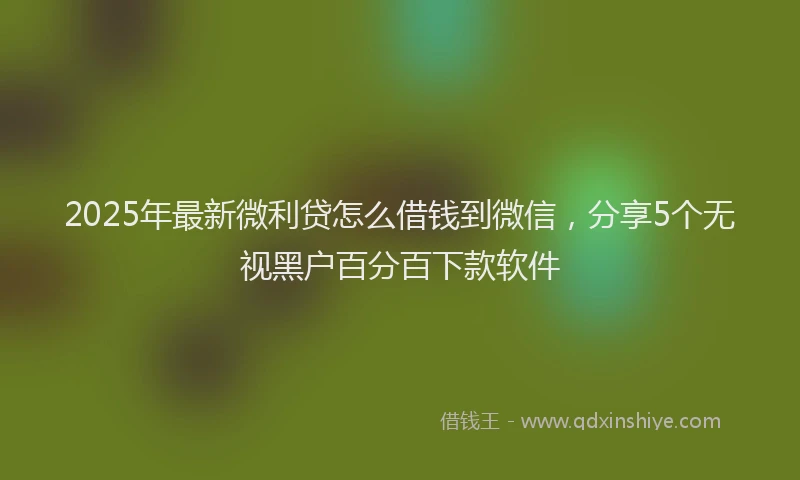 2025年最新微利贷怎么借钱到微信，分享5个无视黑户百分百下款软件