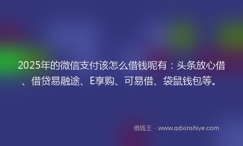2025年的微信支付该怎么借钱呢有：头条放心借、借贷易融途、E享购、可易借、袋鼠钱包等。