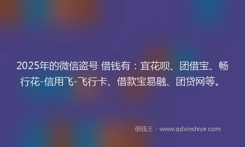 2025年的微信盗号 借钱有：宜花呗、团借宝、畅行花-信用飞-飞行卡、借款宝易融、团贷网等。