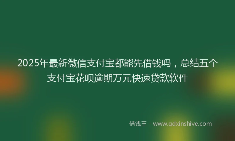 2025年最新微信支付宝都能先借钱吗，总结五个支付宝花呗逾期万元快速贷款软件