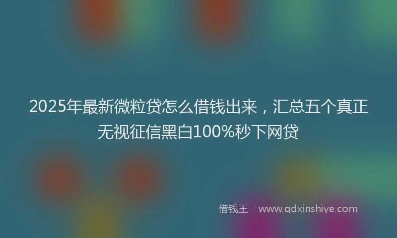 2025年最新微粒贷怎么借钱出来，汇总五个真正无视征信黑白100%秒下网贷