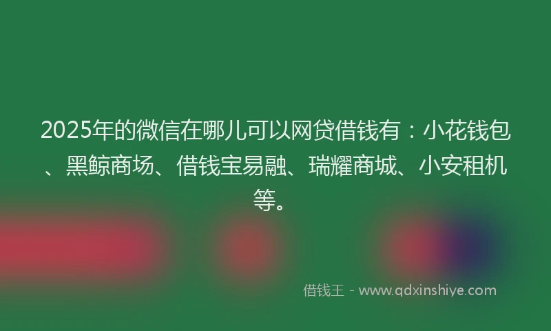 2025年的微信在哪儿可以网贷借钱有：小花钱包、黑鲸商场、借钱宝易融、瑞耀商城、小安租机等。