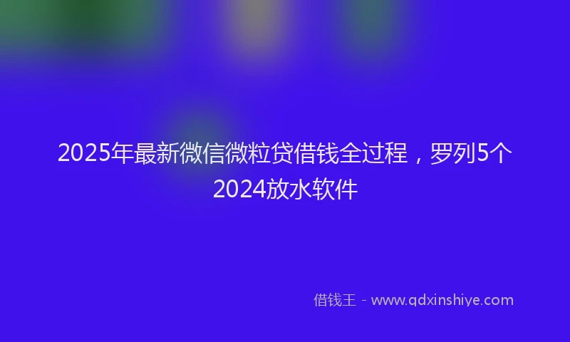2025年最新微信微粒贷借钱全过程，罗列5个2024放水软件