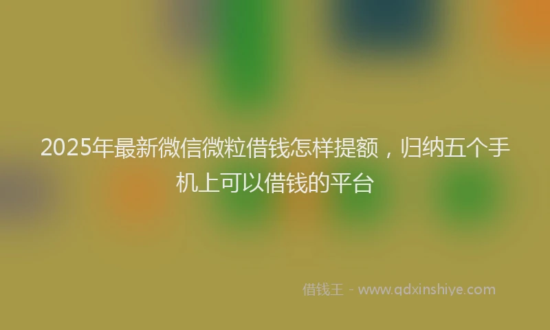 2025年最新微信微粒借钱怎样提额，归纳五个手机上可以借钱的平台