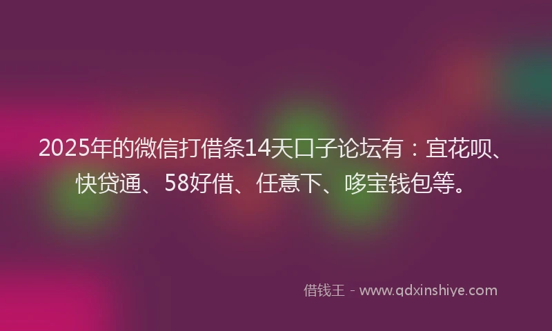 2025年的微信打借条14天口子论坛有：宜花呗、快贷通、58好借、任意下、哆宝钱包等。