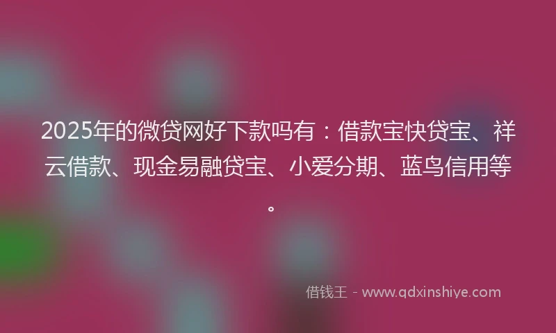 2025年的微贷网好下款吗有:借款宝快贷宝、祥云借款、现金易融贷宝、小爱分期、蓝鸟信用等。