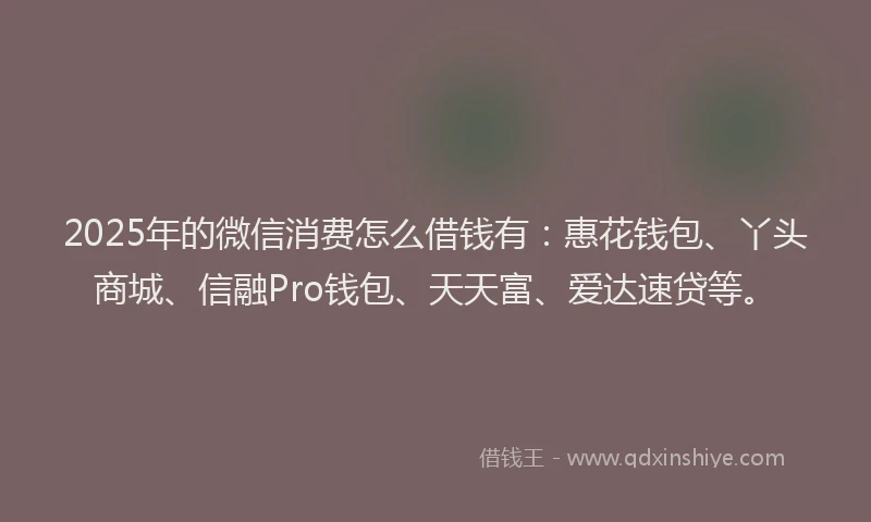 2025年的微信消费怎么借钱有：惠花钱包、丫头商城、信融Pro钱包、天天富、爱达速贷等。