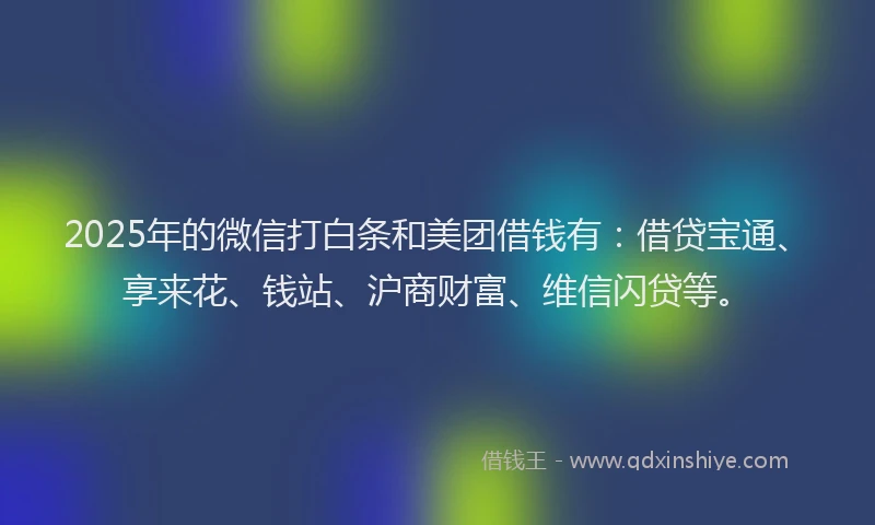 2025年的微信打白条和美团借钱有：借贷宝通、享来花、钱站、沪商财富、维信闪贷等。