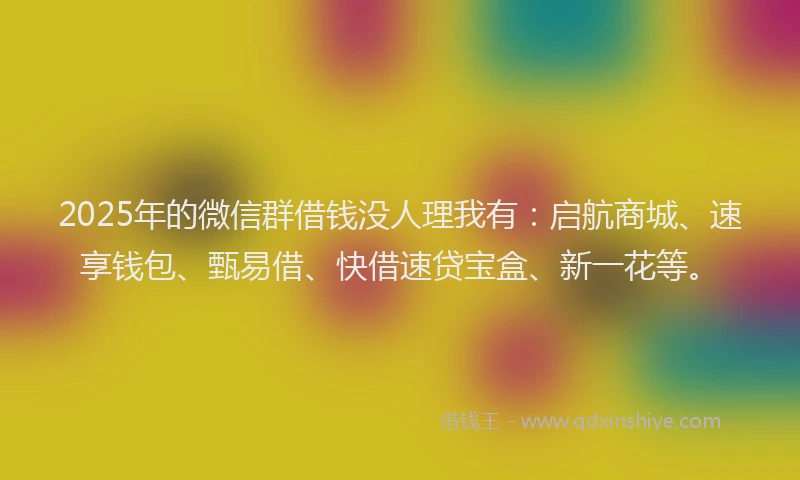 2025年的微信群借钱没人理我有：启航商城、速享钱包、甄易借、快借速贷宝盒、新一花等。